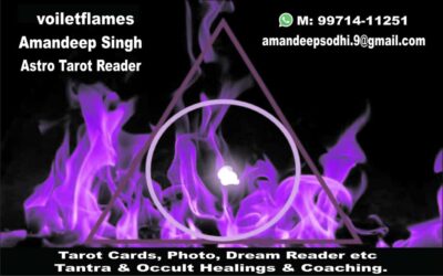 IMG-20240508-WA0008(1)